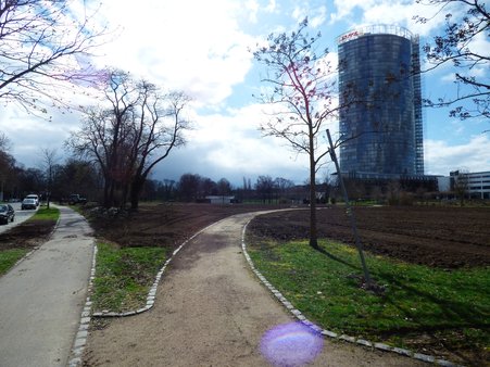 Rasenarbeiten Rheinaue 
