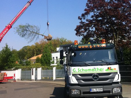 Vegetationstechnische Arbeiten