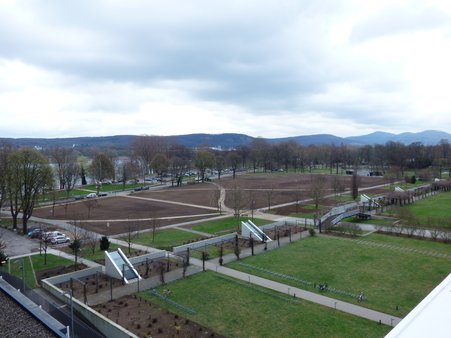 Rasenarbeiten Rheinaue 