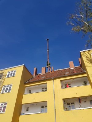 Baum- und Pflanzarbeiten auf der Baustelle Köln Ehrenfeld (