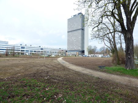 Rasenarbeiten Rheinaue 