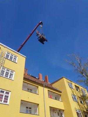 Baum- und Pflanzarbeiten auf der Baustelle Köln Ehrenfeld (
