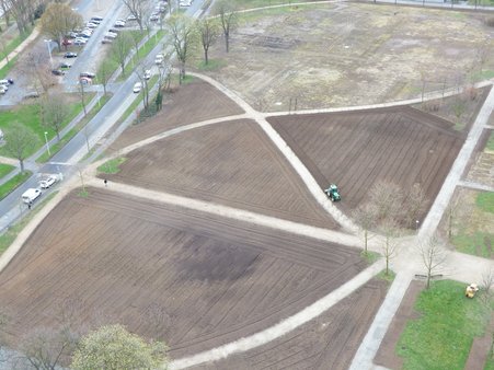 Rasenarbeiten Rheinaue 