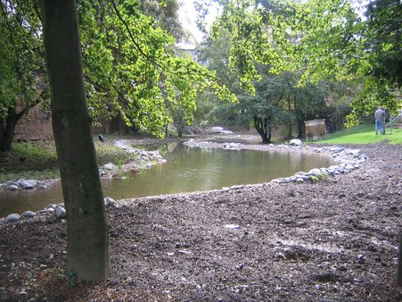 Teich- und Brunnenbau